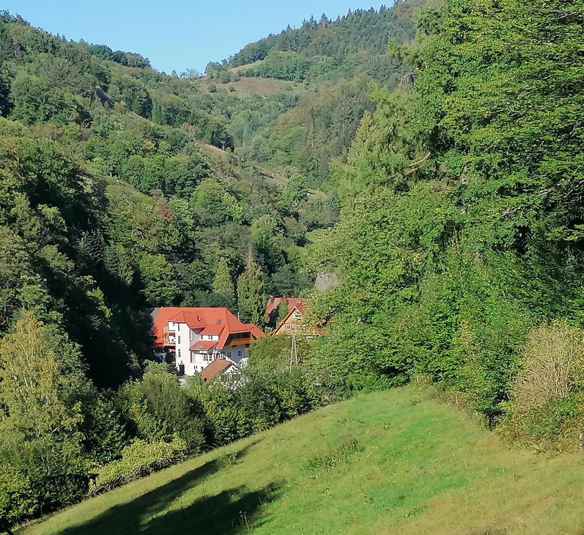 Huberhof Pfaffenbach Villa Gengenbach Eksteriør billede